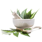 ingrediantImg